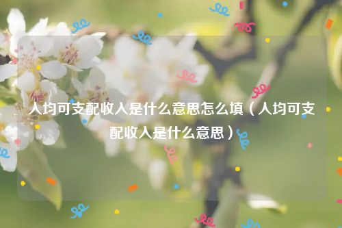 人均可支配收入是什么意思怎么填（人均可支配收入是什么意思）
