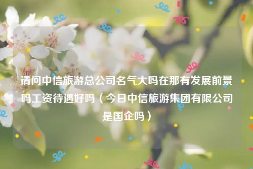 请问中信旅游总公司名气大吗在那有发展前景吗工资待遇好吗（今日中信旅游集团有限公司是国企吗）