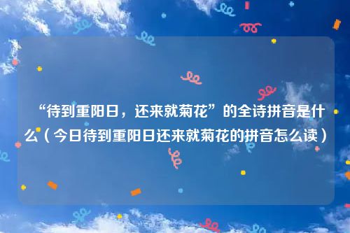 “待到重阳日，还来就菊花”的全诗拼音是什么（今日待到重阳日还来就菊花的拼音怎么读）