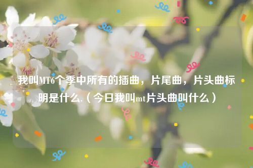 我叫MT6个季中所有的插曲，片尾曲，片头曲标明是什么.（今日我叫mt片头曲叫什么）