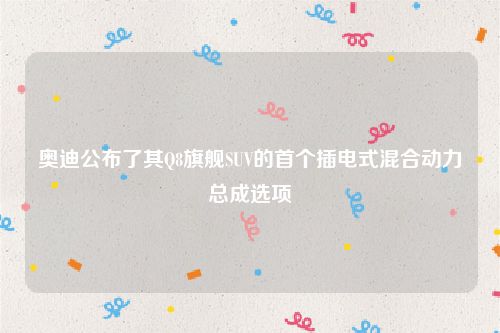奥迪公布了其Q8旗舰SUV的首个插电式混合动力总成选项