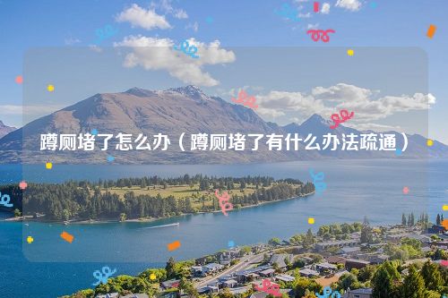 蹲厕堵了怎么办（蹲厕堵了有什么办法疏通）
