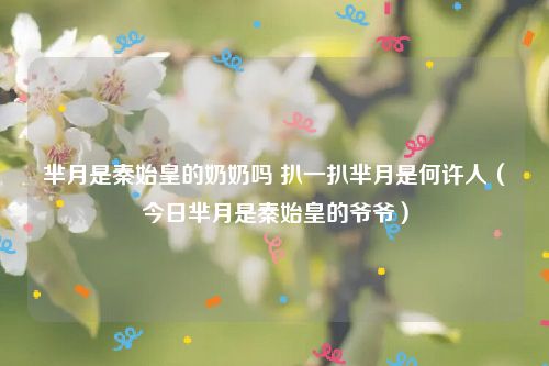 芈月是秦始皇的奶奶吗 扒一扒芈月是何许人（今日芈月是秦始皇的爷爷）