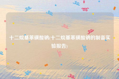 十二烷基苯磺酸钠(十二烷基苯磺酸钠的制备实验报告)