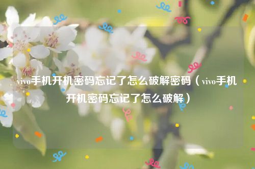 vivo手机开机密码忘记了怎么破解密码（vivo手机开机密码忘记了怎么破解）