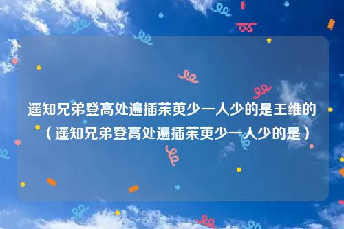 遥知兄弟登高处遍插茱萸少一人少的是王维的（遥知兄弟登高处遍插茱萸少一人少的是）