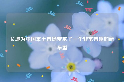 长城为中国本土市场带来了一个非常有趣的新车型