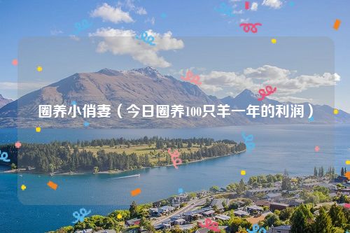 圈养小俏妻（今日圈养100只羊一年的利润）