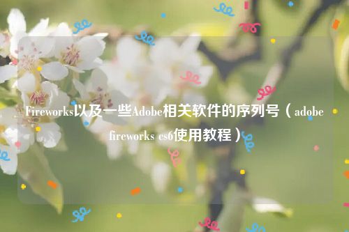 Fireworks以及一些Adobe相关软件的序列号（adobefireworks cs6使用教程）