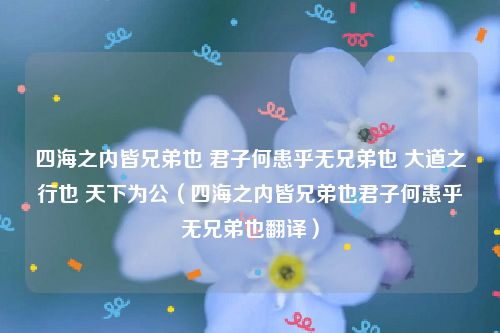 四海之内皆兄弟也 君子何患乎无兄弟也 大道之行也 天下为公（四海之内皆兄弟也君子何患乎无兄弟也翻译）