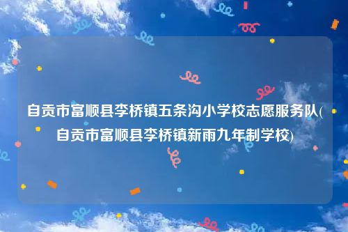 自贡市富顺县李桥镇五条沟小学校志愿服务队(自贡市富顺县李桥镇新雨九年制学校)