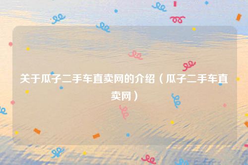 关于瓜子二手车直卖网的介绍（瓜子二手车直卖网）