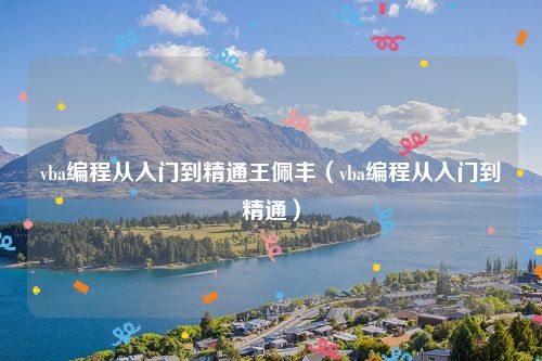 vba编程从入门到精通王佩丰（vba编程从入门到精通）