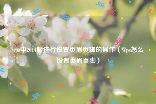 wps中2014版进行设置页眉页脚的操作（Wps怎么设置页眉页脚）