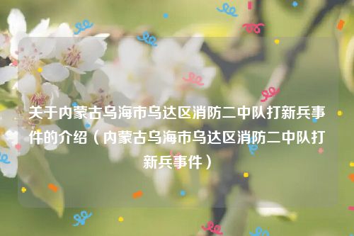 关于内蒙古乌海市乌达区消防二中队打新兵事件的介绍（内蒙古乌海市乌达区消防二中队打新兵事件）