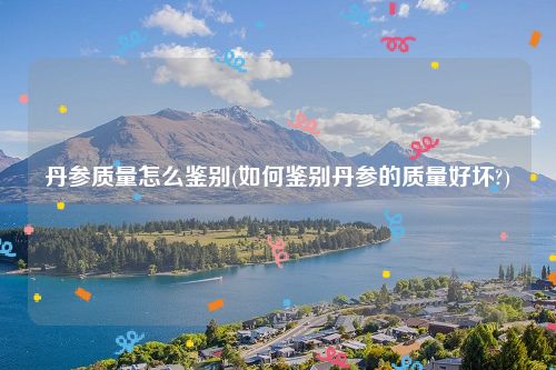 丹参质量怎么鉴别(如何鉴别丹参的质量好坏?)