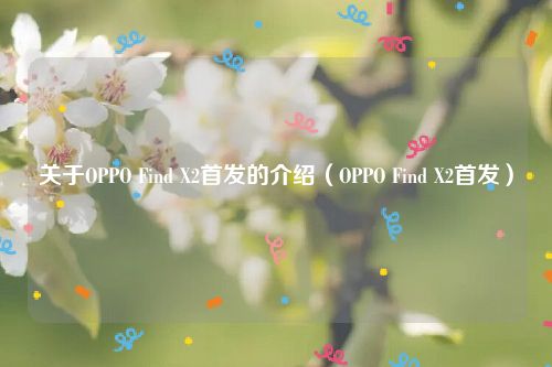 关于OPPO Find X2首发的介绍（OPPO Find X2首发）