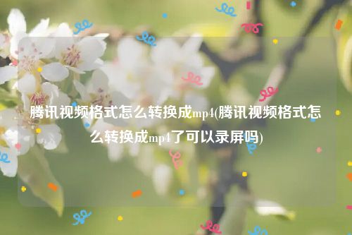 腾讯视频格式怎么转换成mp4(腾讯视频格式怎么转换成mp4了可以录屏吗)