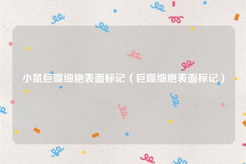 小鼠巨噬细胞表面标记（巨噬细胞表面标记）
