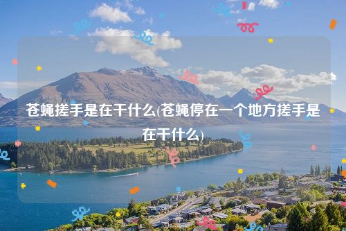 苍蝇搓手是在干什么(苍蝇停在一个地方搓手是在干什么)