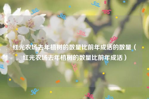 红光农场去年植树的数量比前年成活的数量（红光农场去年植树的数量比前年成活）