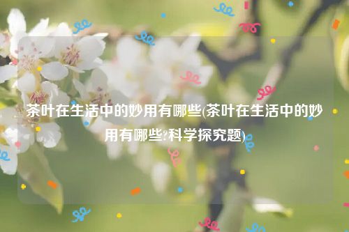 茶叶在生活中的妙用有哪些(茶叶在生活中的妙用有哪些?科学探究题)