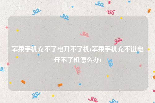 苹果手机充不了电开不了机(苹果手机充不进电开不了机怎么办)