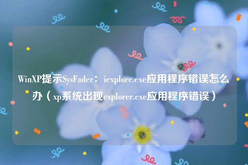 WinXP提示SysFader：iexplore.exe应用程序错误怎么办（xp系统出现explorer.exe应用程序错误）