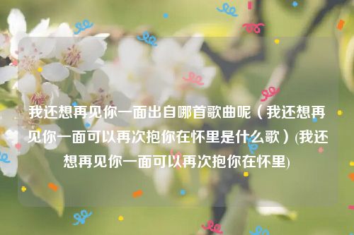 我还想再见你一面出自哪首歌曲呢（我还想再见你一面可以再次抱你在怀里是什么歌）(我还想再见你一面可以再次抱你在怀里)