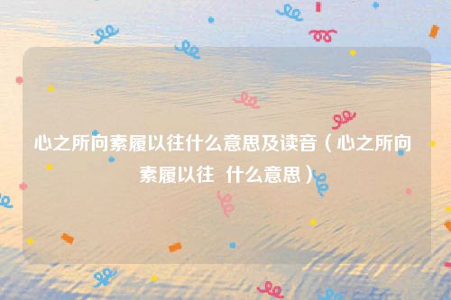 心之所向素履以往什么意思及读音（心之所向 素履以往  什么意思）