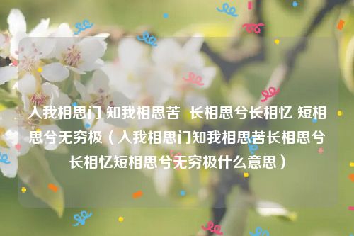 入我相思门 知我相思苦  长相思兮长相忆 短相思兮无穷极（入我相思门知我相思苦长相思兮长相忆短相思兮无穷极什么意思）