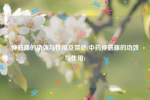 伸筋藤的功效与作用及禁忌(中药伸筋藤的功效与作用)