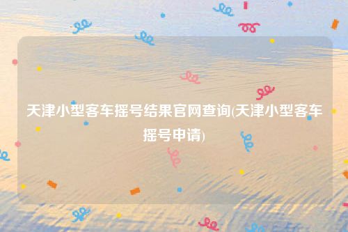 天津小型客车摇号结果官网查询(天津小型客车摇号申请)