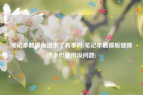 笔记本触摸板进水了有事吗(笔记本触摸板缝隙进水但是用没问题)