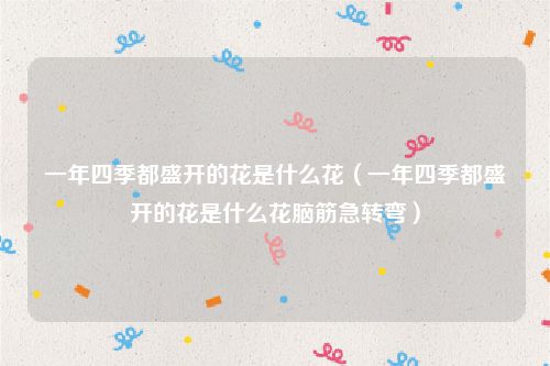 一年四季都盛开的花是什么花（一年四季都盛开的花是什么花脑筋急转弯）