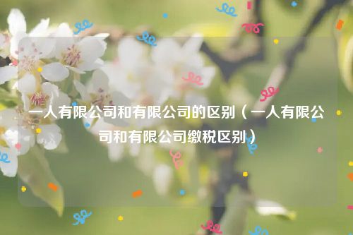 一人有限公司和有限公司的区别（一人有限公司和有限公司缴税区别）