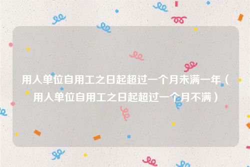 用人单位自用工之日起超过一个月未满一年（用人单位自用工之日起超过一个月不满）