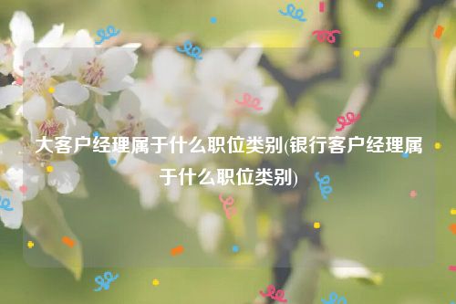 大客户经理属于什么职位类别(银行客户经理属于什么职位类别)