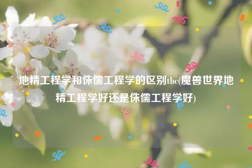 地精工程学和侏儒工程学的区别tbc(魔兽世界地精工程学好还是侏儒工程学好)