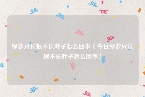 绿萝只长根不长叶子怎么回事（今日绿萝只长根不长叶子怎么回事）