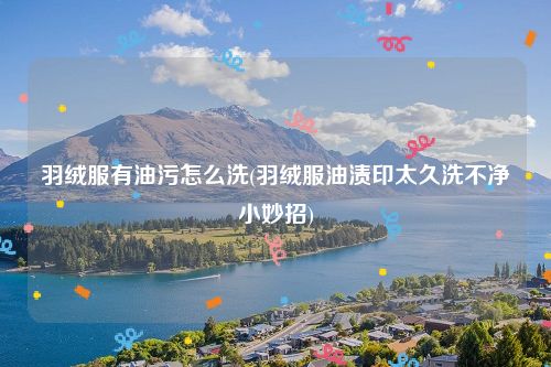 羽绒服有油污怎么洗(羽绒服油渍印太久洗不净小妙招)