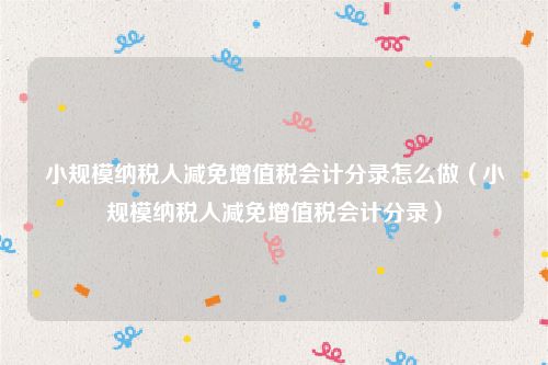 小规模纳税人减免增值税会计分录怎么做（小规模纳税人减免增值税会计分录）