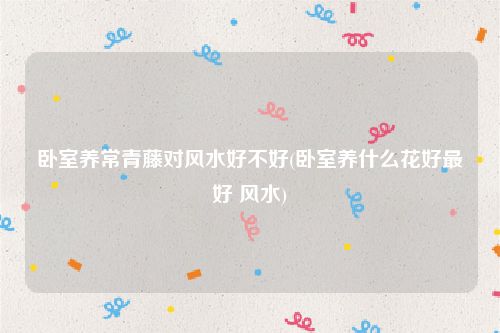 卧室养常青藤对风水好不好(卧室养什么花好最好 风水)