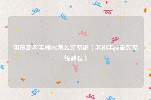 用最新老毛桃PE怎么装系统（老桃毛pe重装系统教程）