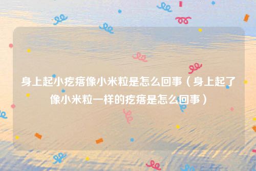 身上起小疙瘩像小米粒是怎么回事（身上起了像小米粒一样的疙瘩是怎么回事）