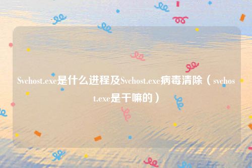Svchost.exe是什么进程及Svchost.exe病毒清除（svchost.exe是干嘛的）