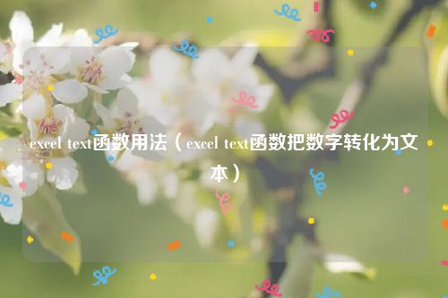 excel text函数用法（excel text函数把数字转化为文本）