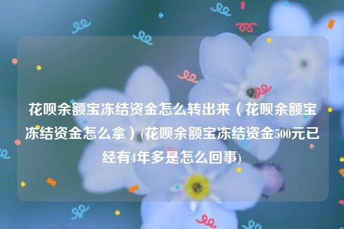 花呗余额宝冻结资金怎么转出来（花呗余额宝冻结资金怎么拿）(花呗余额宝冻结资金500元已经有4年多是怎么回事)