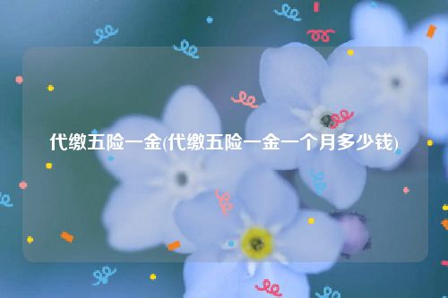 代缴五险一金(代缴五险一金一个月多少钱)