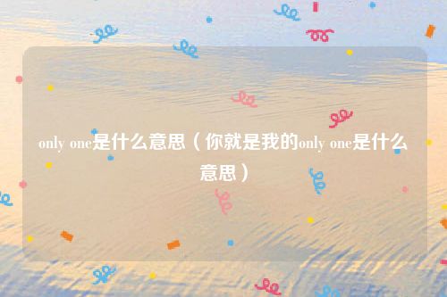 only one是什么意思（你就是我的only one是什么意思）